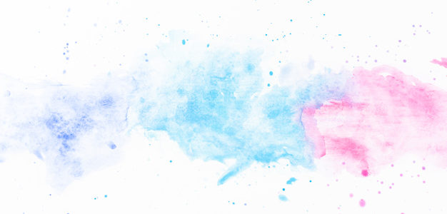 السلامة في الدين لا يعدلها شيء‎