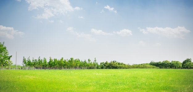 من روائع التفسير للإمام النحرير -ابنُ قيّم الجوزيَّة رحمه الله