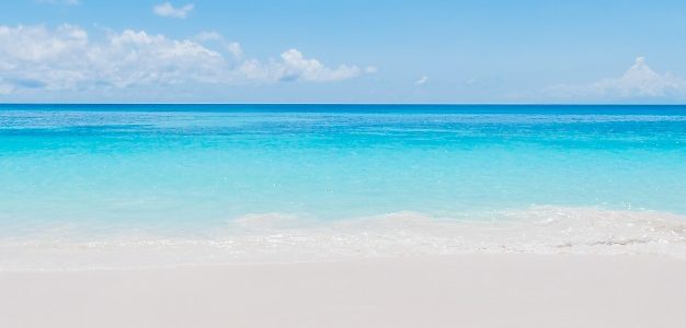 قاعدة : ليسَ لعِرْقٍ ظَالِمٍ حَقٌّ