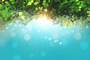 شُرُوطُ جَوَازِ أَكْلِ المَارِّ مِنْ بُسْتَانِ غَيْرِهِ