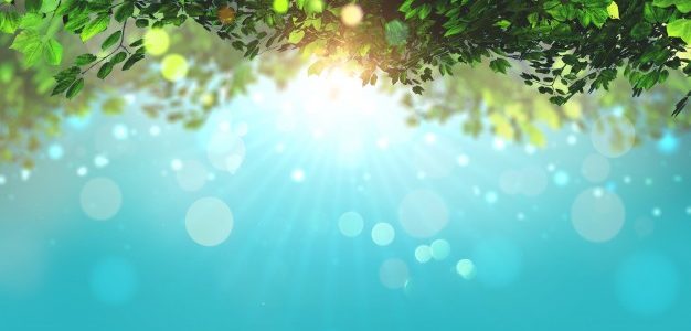 شُرُوطُ جَوَازِ أَكْلِ المَارِّ مِنْ بُسْتَانِ غَيْرِهِ